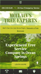 Mobile Screenshot of mcclainstreeexperts.com